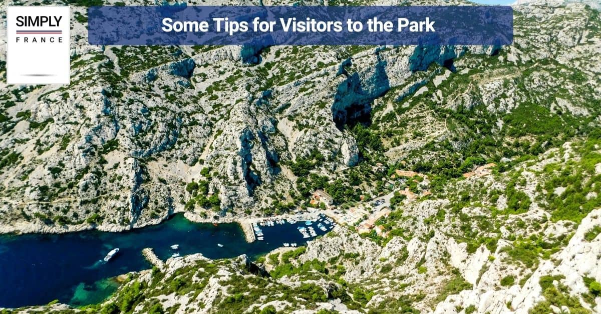 Some Tips for Visitors to the Park