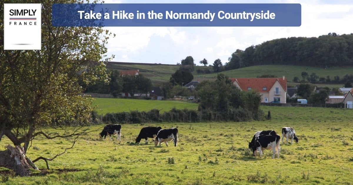 Take a Hike in the Normandy Countryside