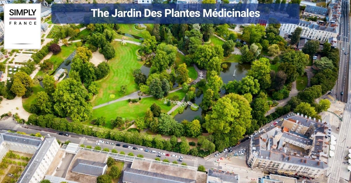 The Jardin Des Plantes Médicinales