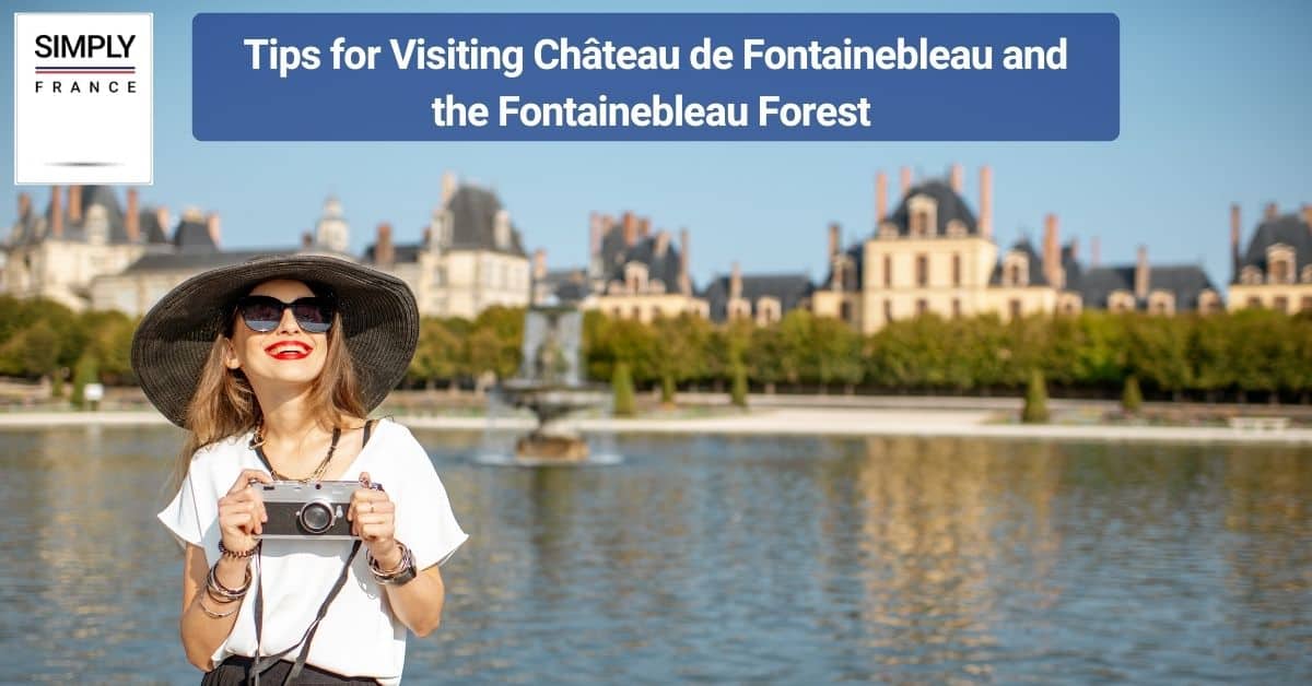 Tips for Visiting Château de Fontainebleau and the Fontainebleau Forest