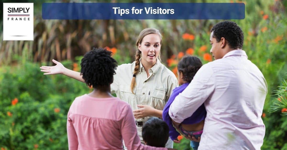 Tips for Visitors