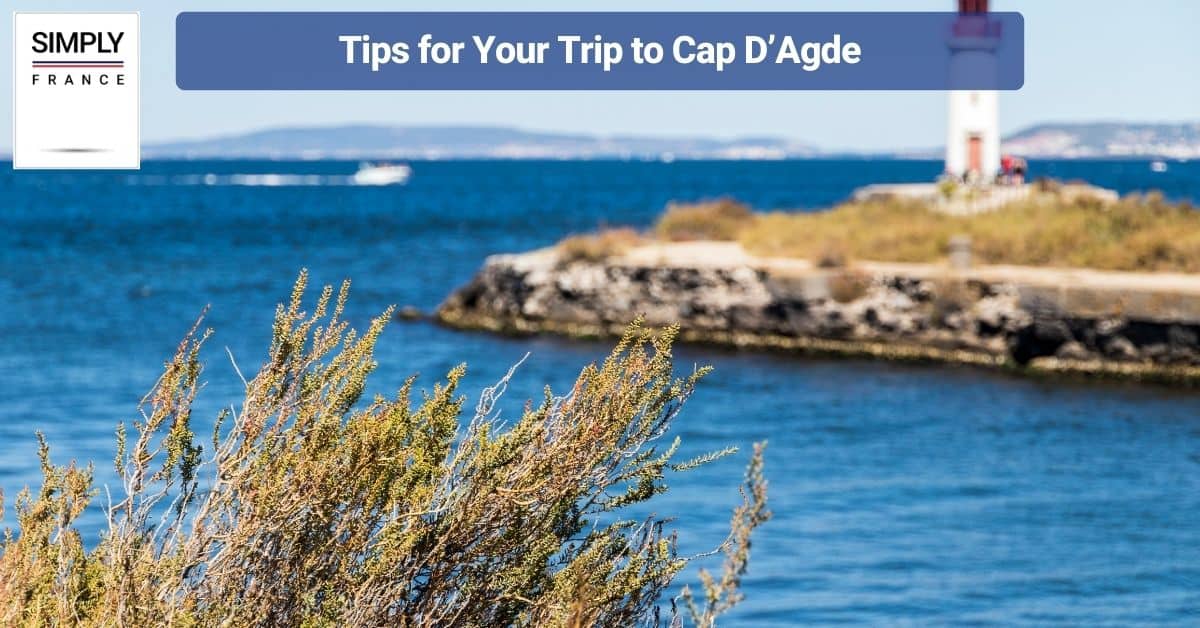 Tips for Your Trip to Cap D’Agde