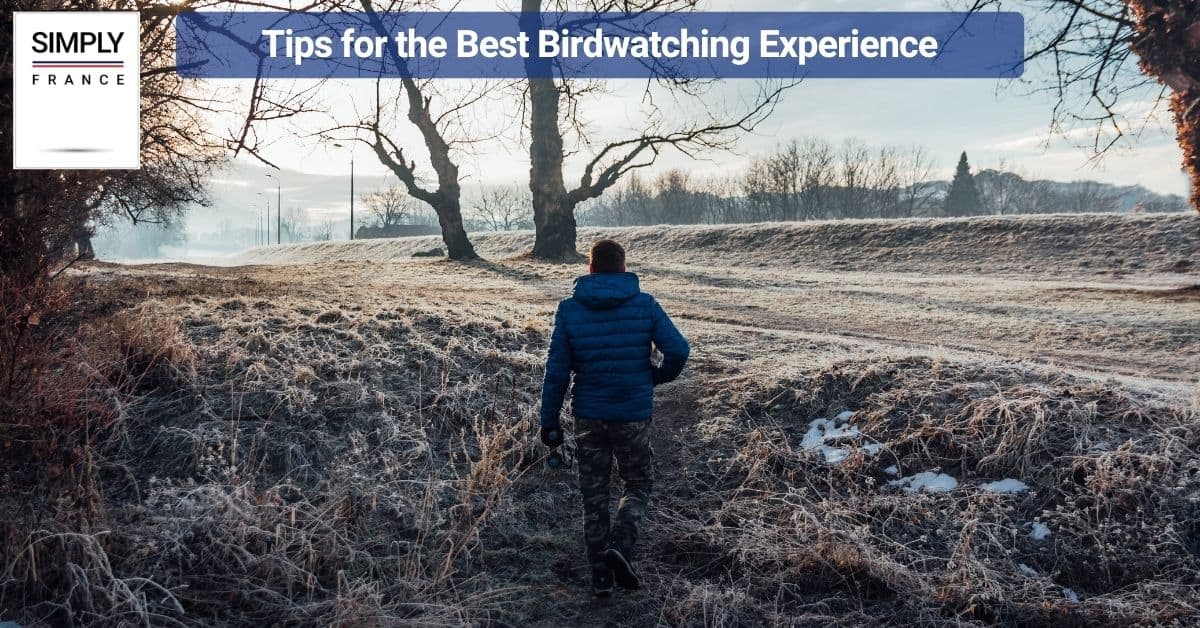 Tips for the Best Birdwatching Experience