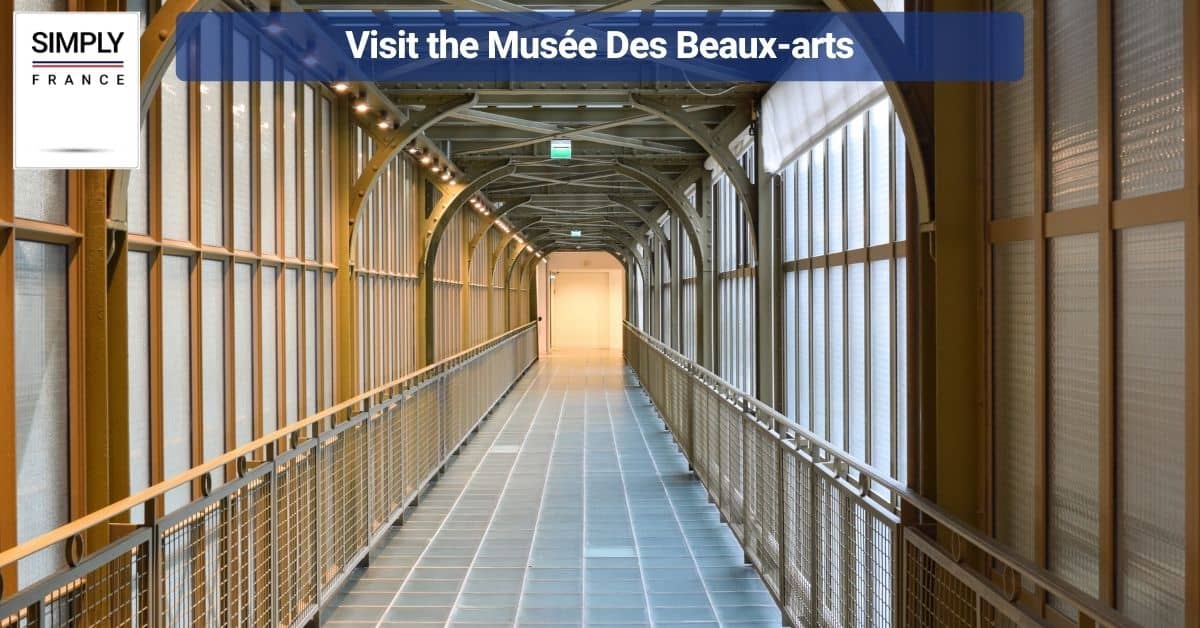 Visit the Musée Des Beaux-arts