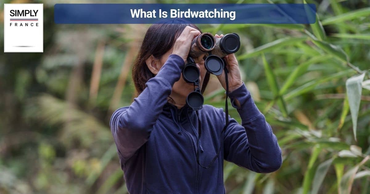 What Is Birdwatching