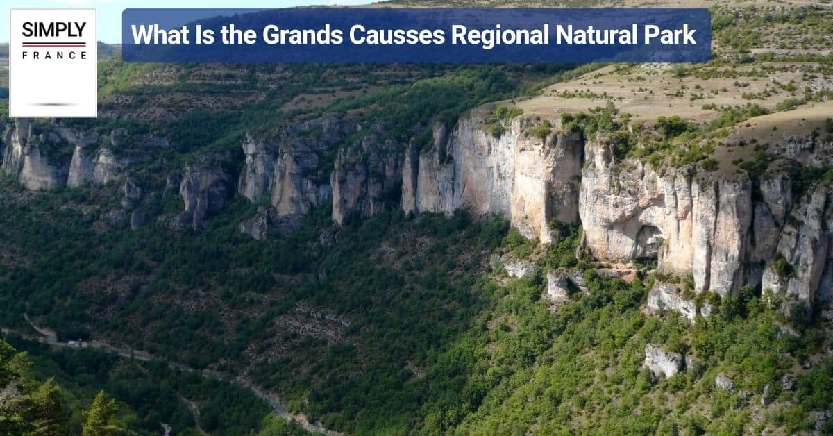 What Is the Grands Causses Regional Natural Park
