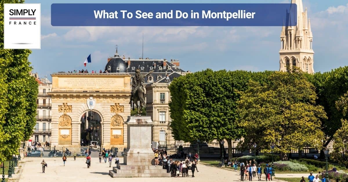 What To See and Do in Montpellier