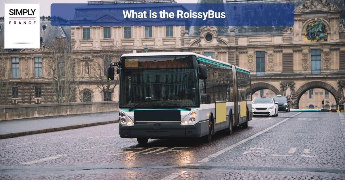 What is the RoissyBus