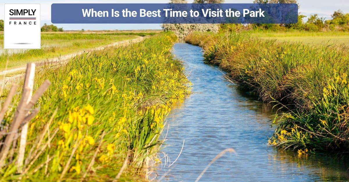 When Is the Best Time to Visit the Park