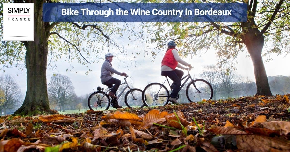 Bike Through the Wine Country in Bordeaux