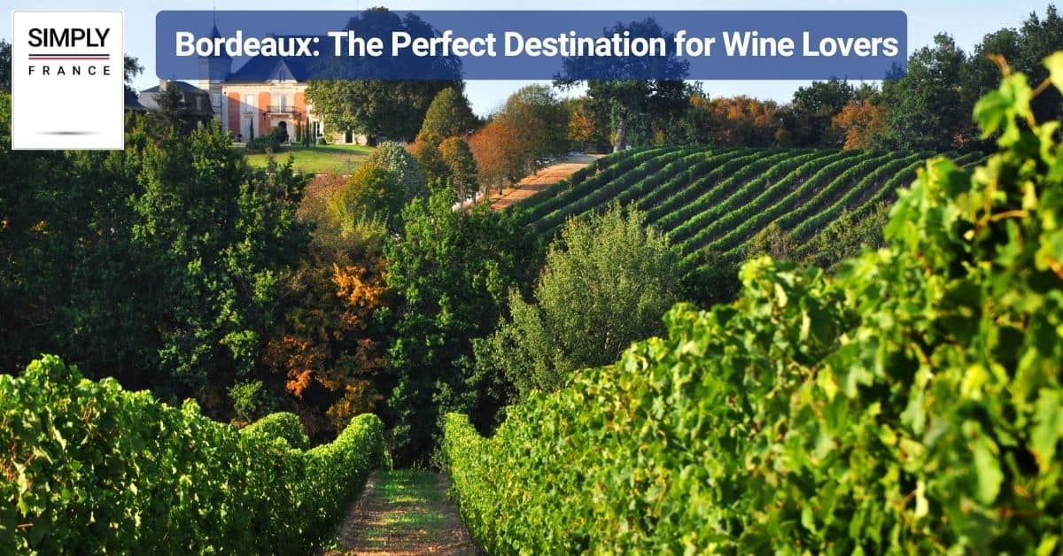 Bordeaux_ The Perfect Destination for Wine Lovers