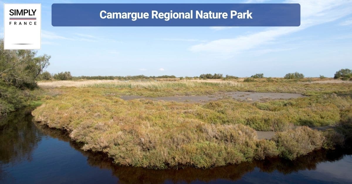 Camargue Regional Nature Park