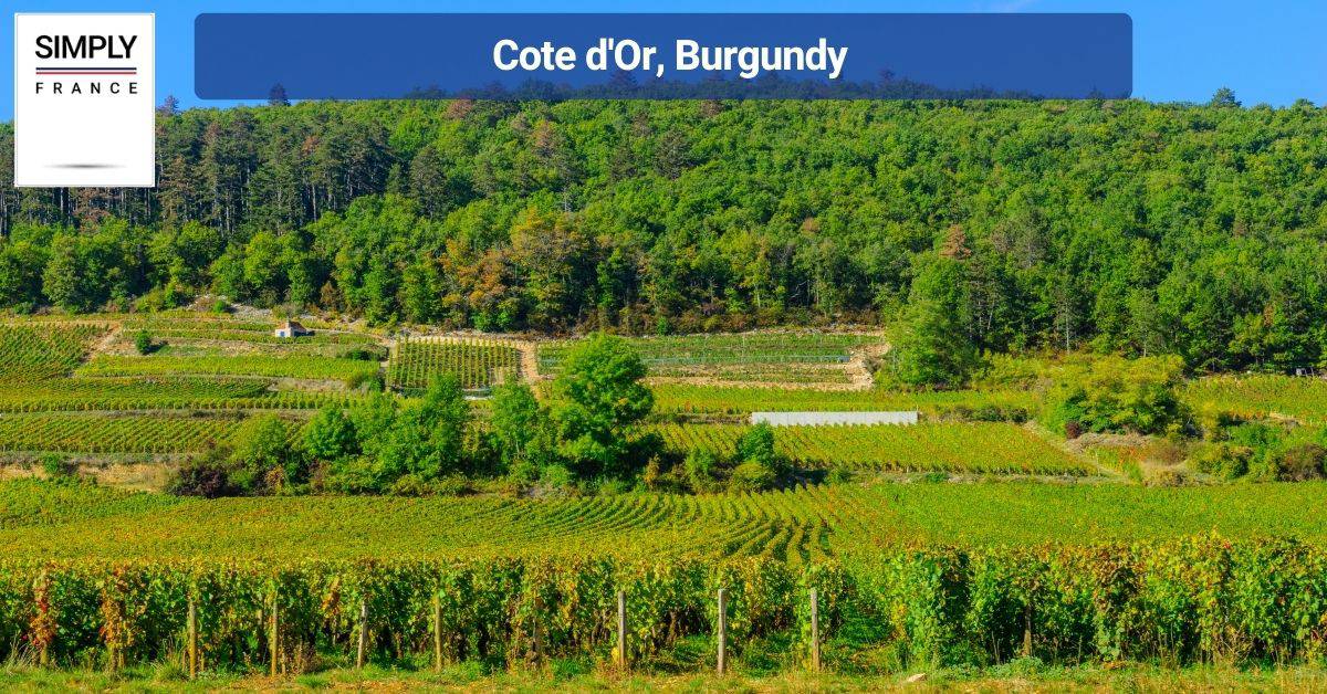 Cote d'Or, Burgundy
