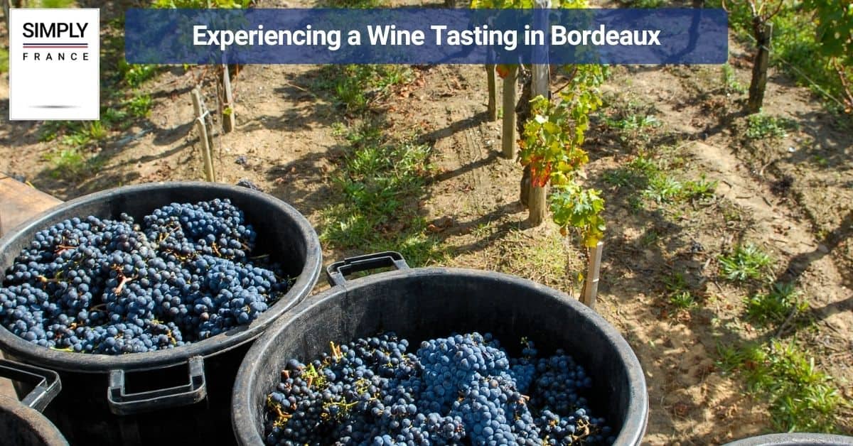 Experiencing a Wine Tasting in Bordeaux