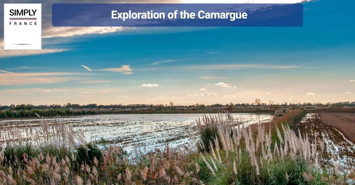 Exploration of the Camargue