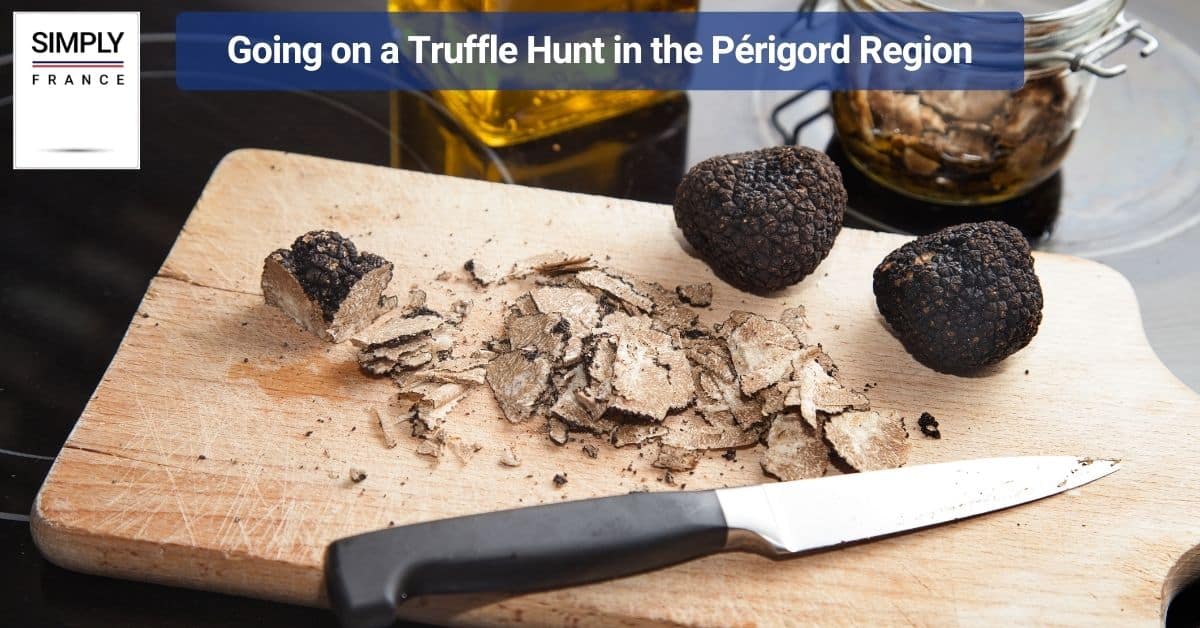 Going on a Truffle Hunt in the Périgord Region