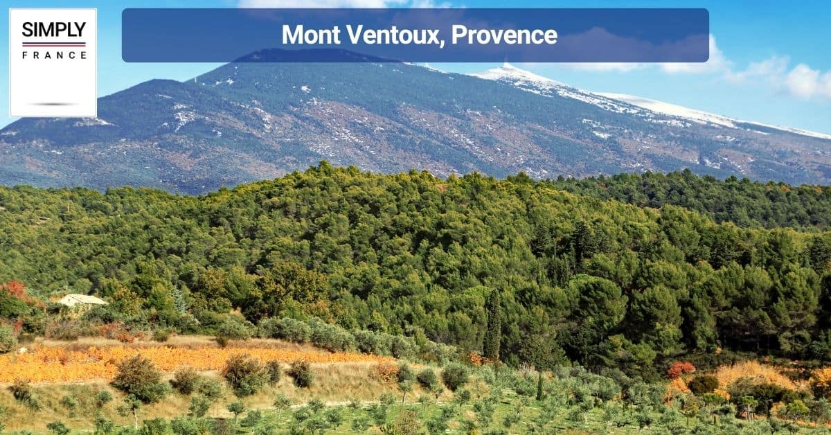 Mont Ventoux, Provence