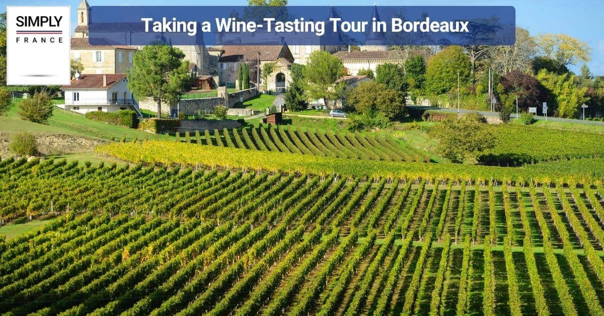 Taking a Wine-Tasting Tour in Bordeaux