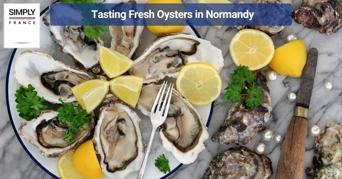 Tasting Fresh Oysters in Normandy