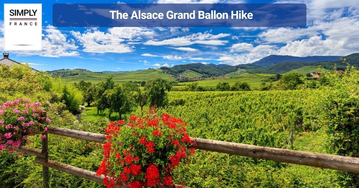 The Alsace Grand Ballon Hike
