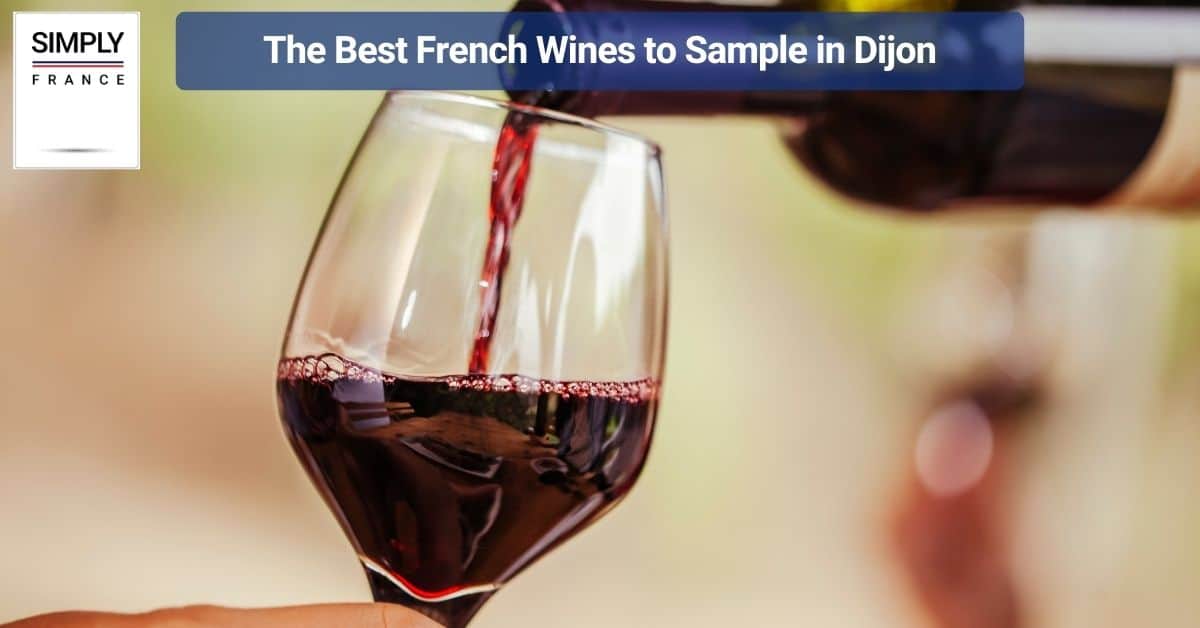 The Best French Wines to Sample in Dijon