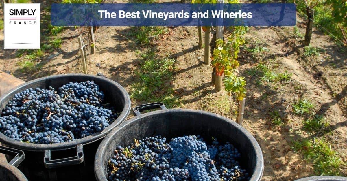 The Best Vineyards and Wineries