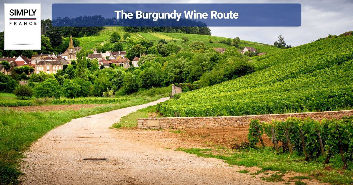 The Burgundy Wine Route