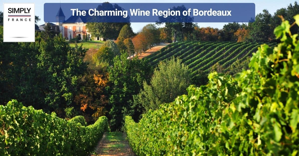 The Charming Wine Region of Bordeaux