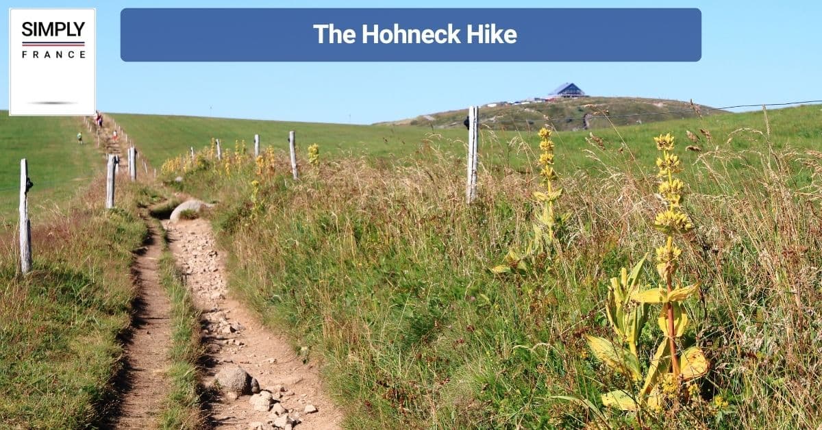 The Hohneck Hike