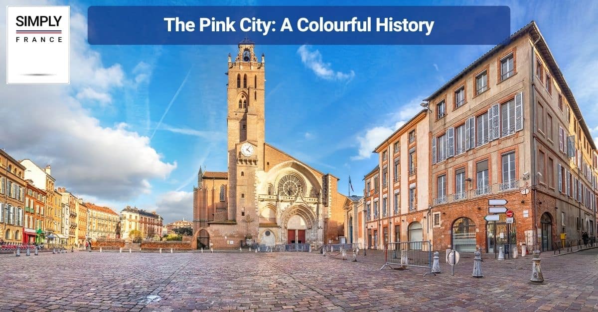 The Pink City_ A Colourful History