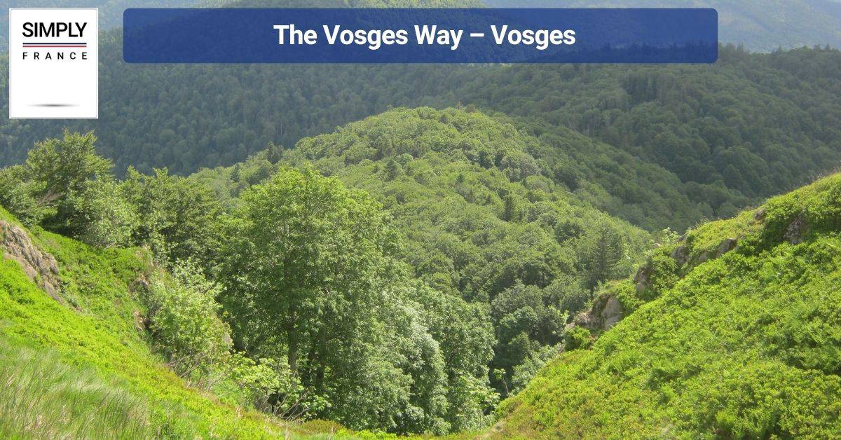 The Vosges Way – Vosges