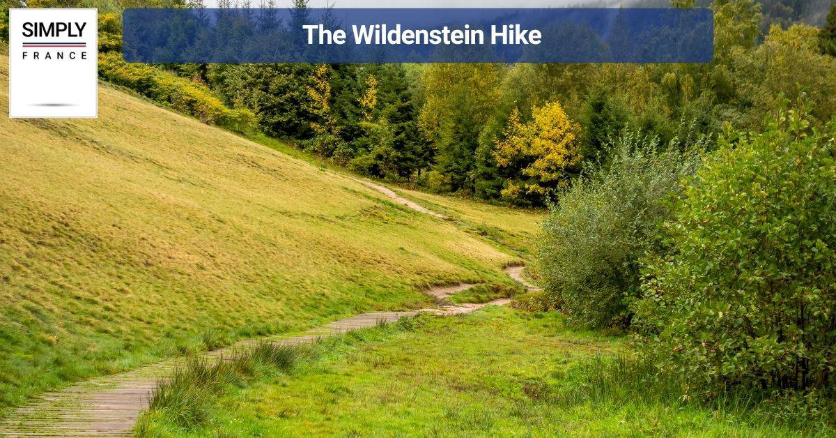 The Wildenstein Hike
