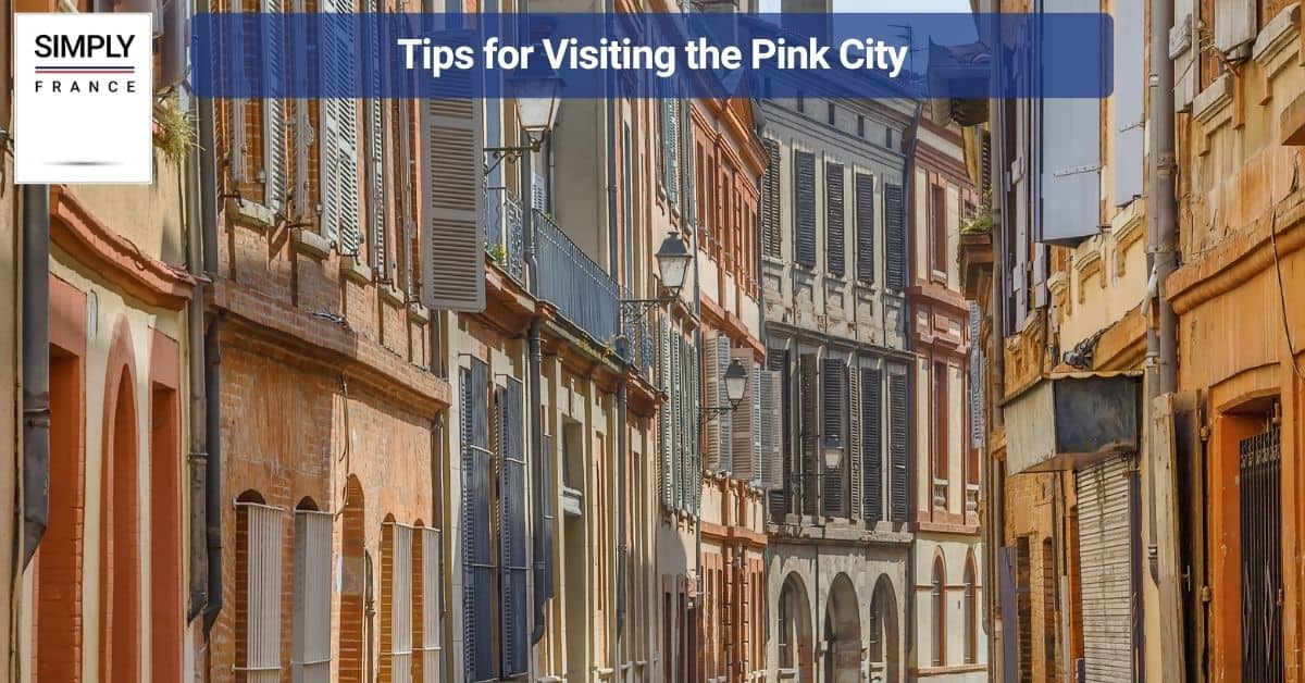 Tips for Visiting the Pink City