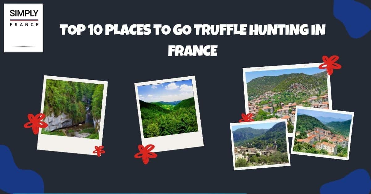 Top 10 Places to Go Truffle Hunting in France