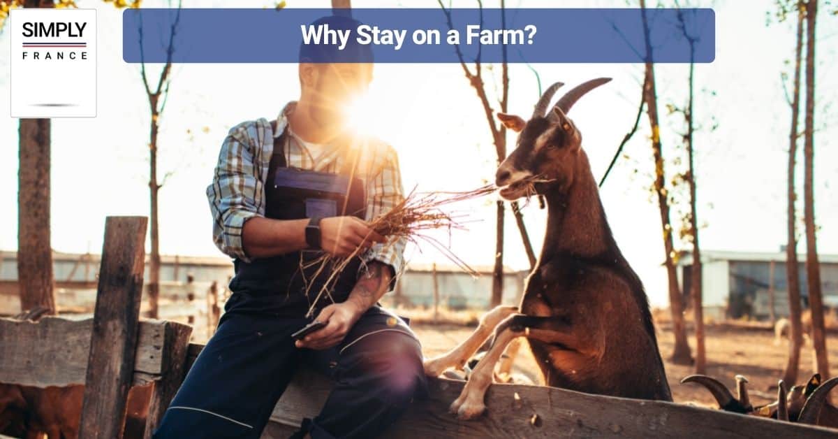 Why Stay on a Farm?