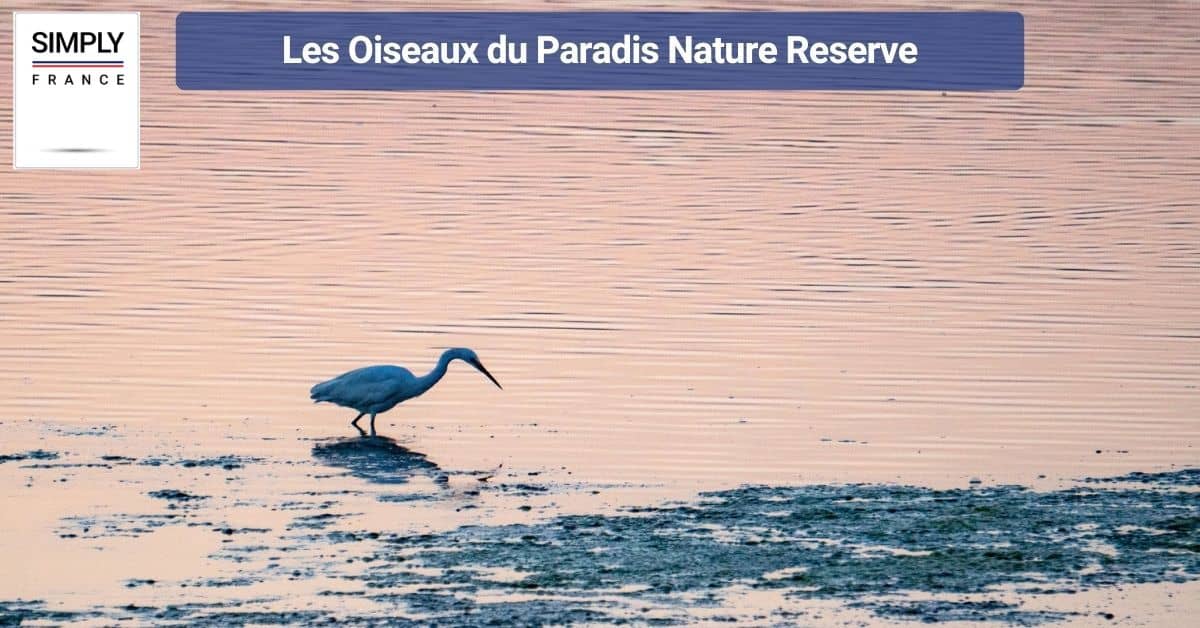 Les Oiseaux du Paradis Nature Reserve
