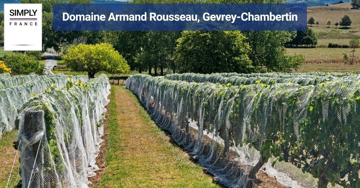 Domaine Armand Rousseau, Gevrey-Chambertin