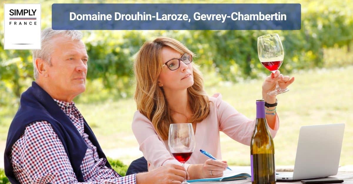 Domaine Drouhin-Laroze, Gevrey-Chambertin