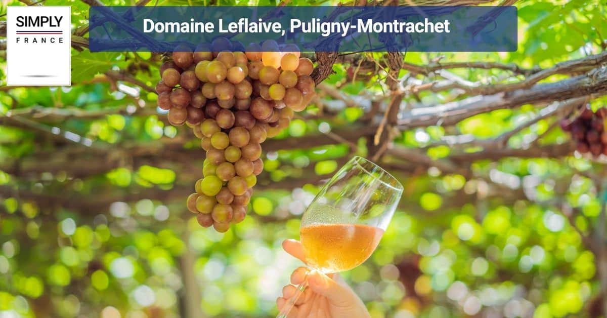 Domaine Leflaive, Puligny-Montrachet