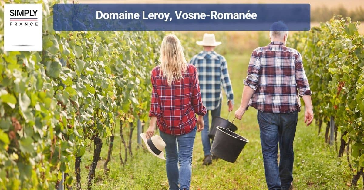 Domaine Leroy, Vosne-Romanée