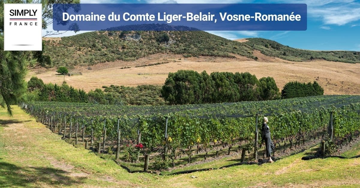 Domaine du Comte Liger-Belair, Vosne-Romanée