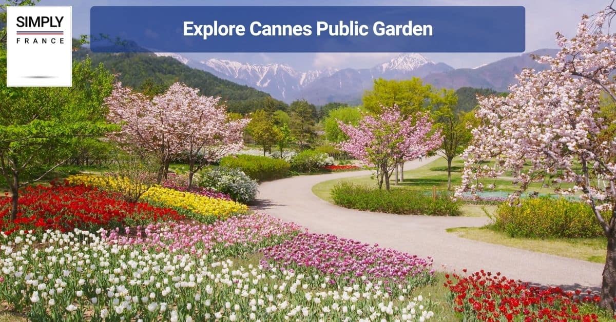 Explore Cannes Public Garden