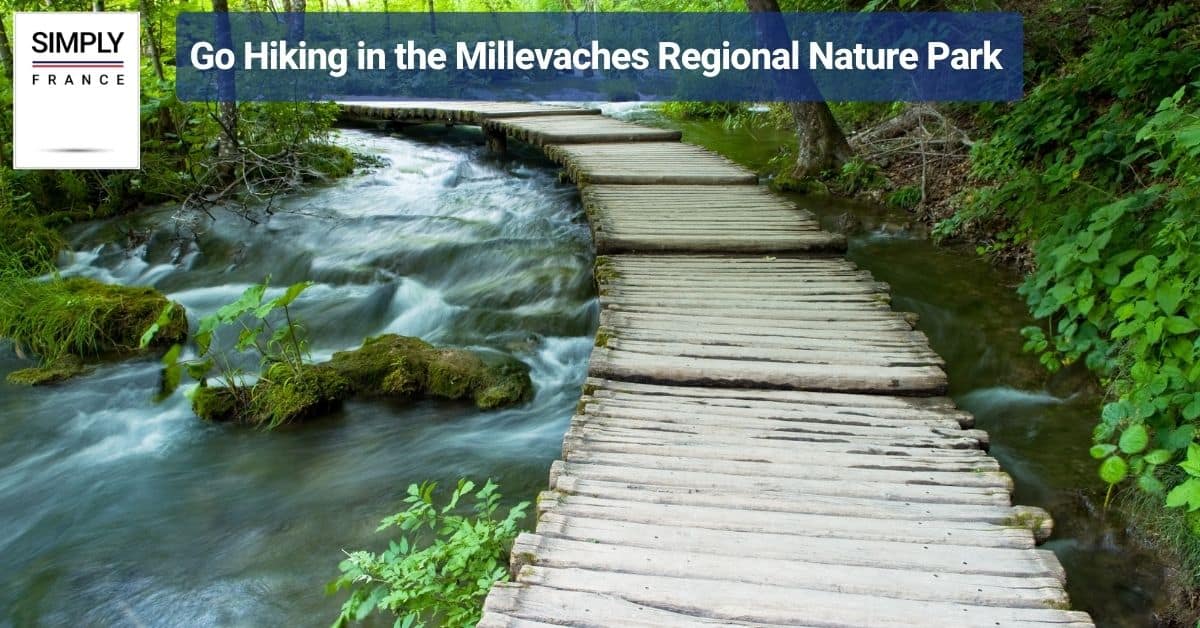 Go Hiking in the Millevaches Regional Nature Park