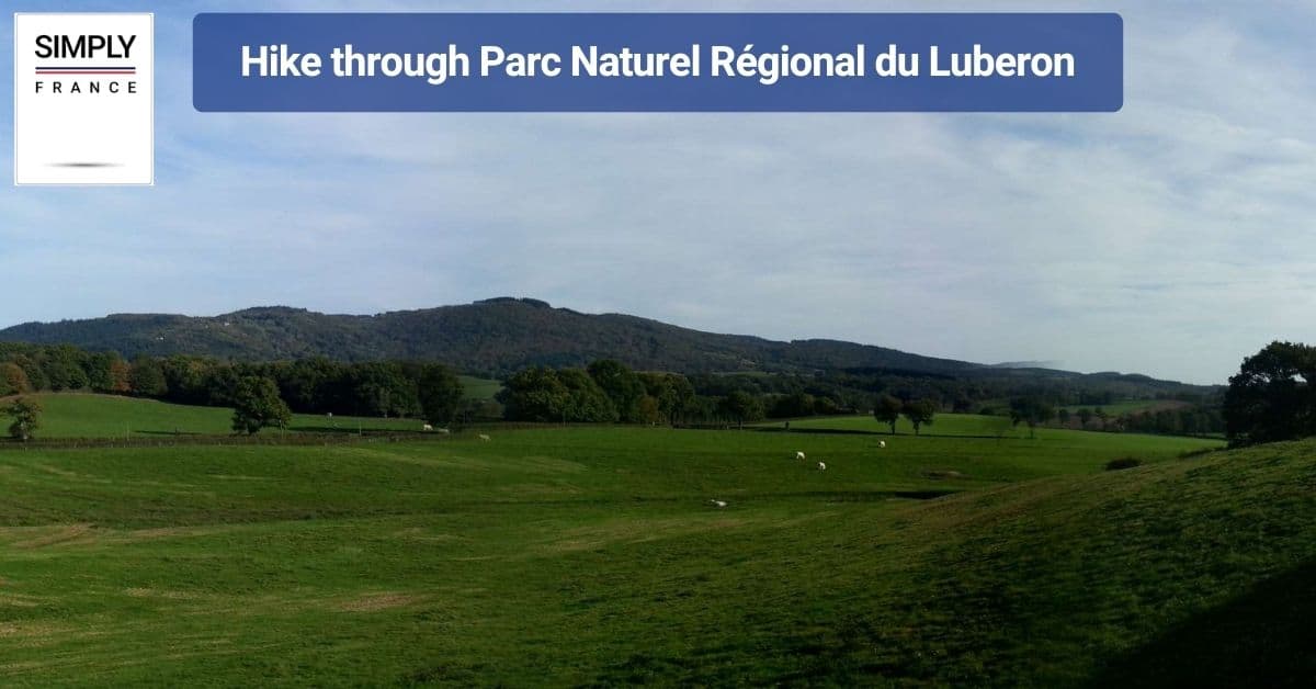 Hike through Parc Naturel Régional du Luberon