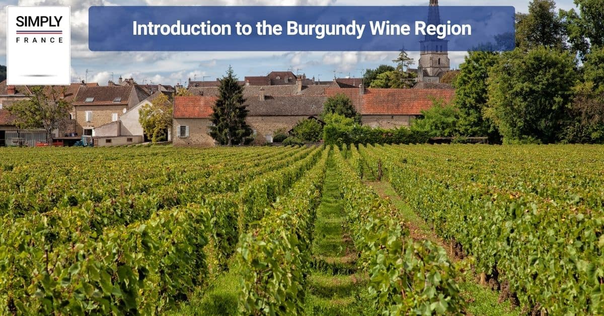 Introduction to the Burgundy Wine Region