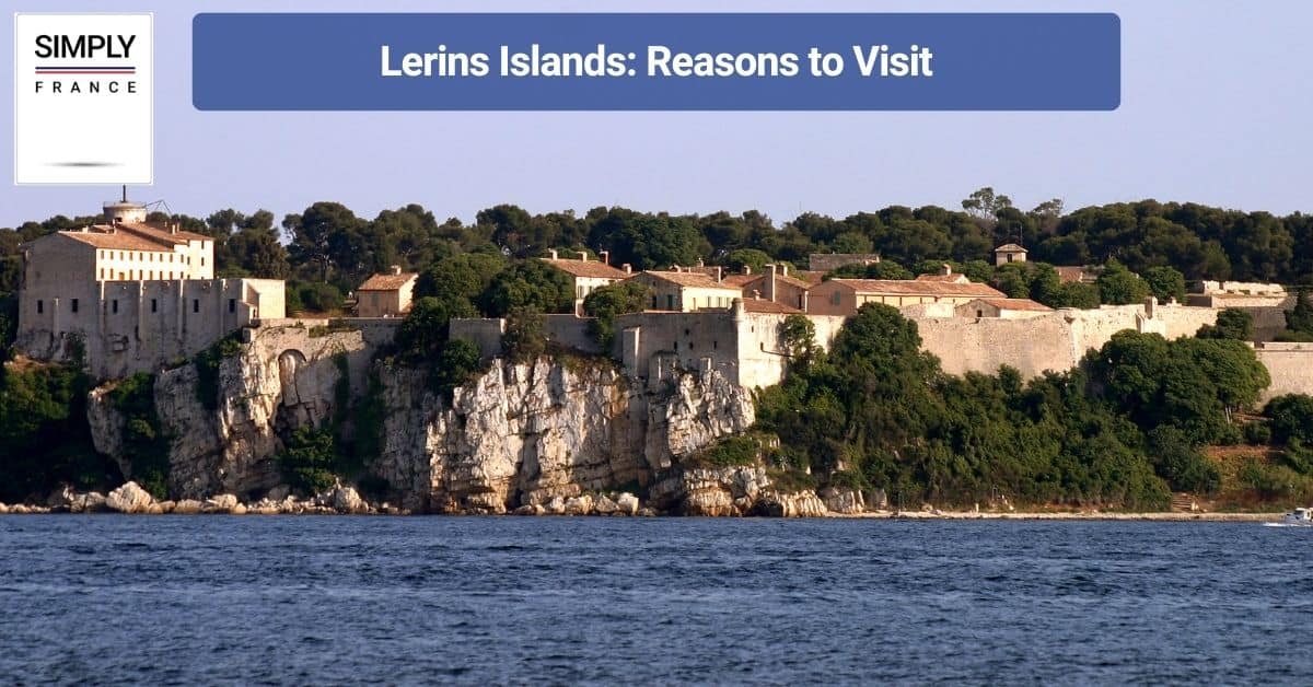 Lerins Islands_ Reasons to Visit