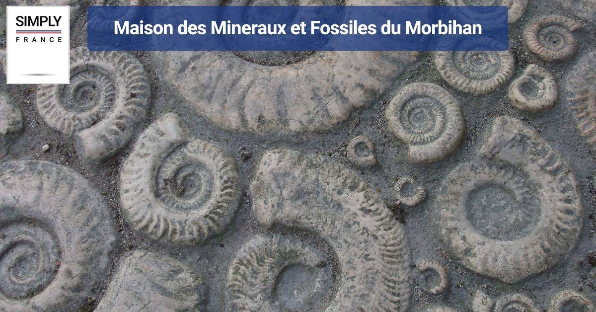 Maison des Mineraux et Fossiles du Morbihan