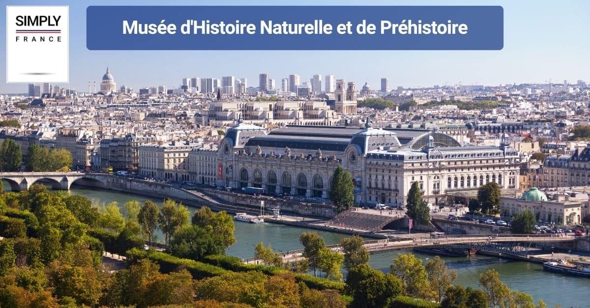 Musée d'Histoire Naturelle et de Préhistoire