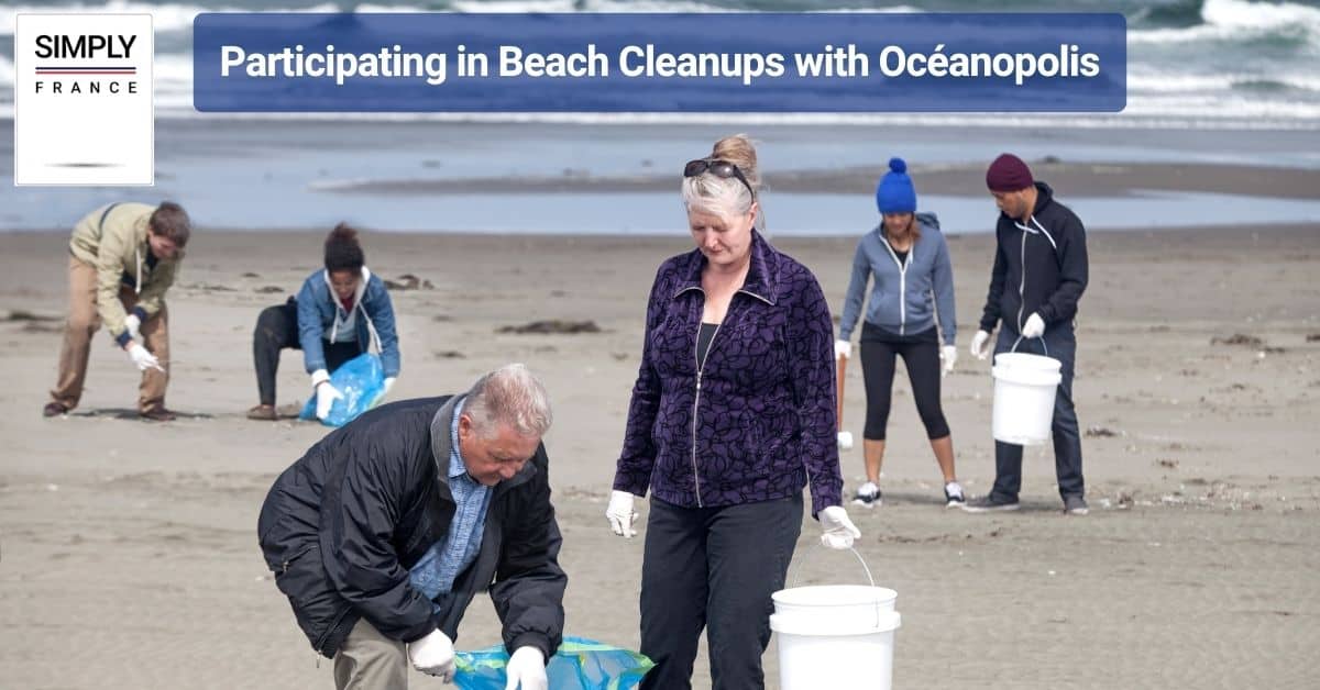Participating in Beach Cleanups with Océanopolis