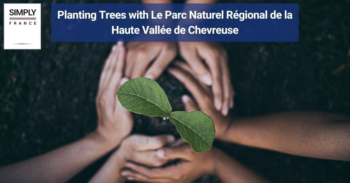 Planting Trees with Le Parc Naturel Régional de la Haute Vallée de Chevreuse